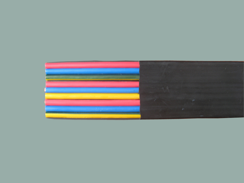 ZB-SYFFDR 综合布线用带状电缆2.jpg