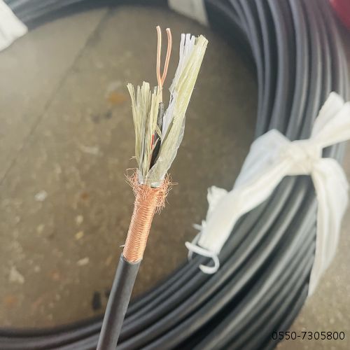 RC-HA-FFP RC-HA-FGP补偿电缆