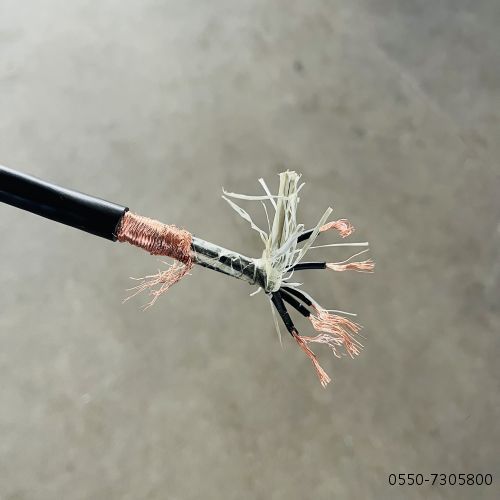 BC-FVP 20*2*0.5补偿电缆