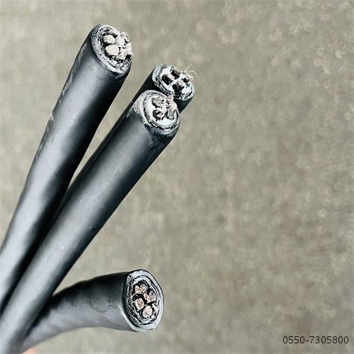TRVVP6*2*0.5电缆防扭特性