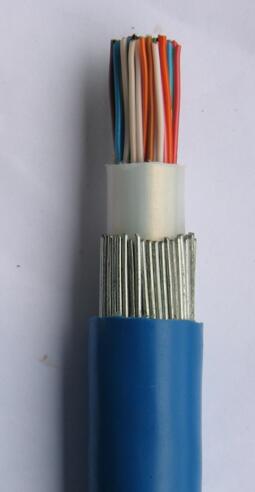 安徽铠装耐火电缆 NH-VDVD32 钢带铠装耐火电力电缆